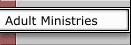 Adult Ministries